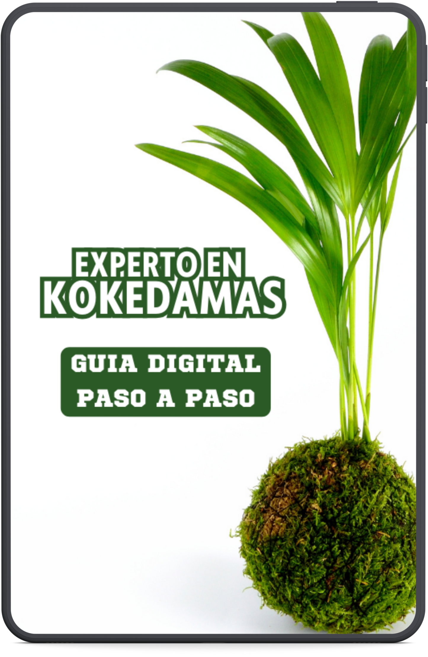 Experto en Kokedamas Hoy!